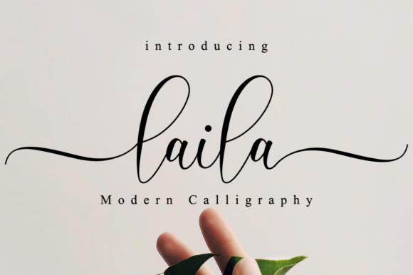 Laila Script: A Modern Script Font for Digital Branding and Web Design