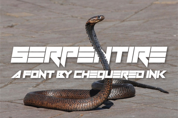 Serpentire: The Font That Commands Attention in Every Campaign