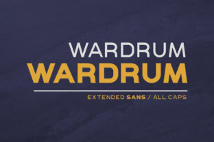 Wardrum: A Bold Sans Serif Font for Modern Editorial Design